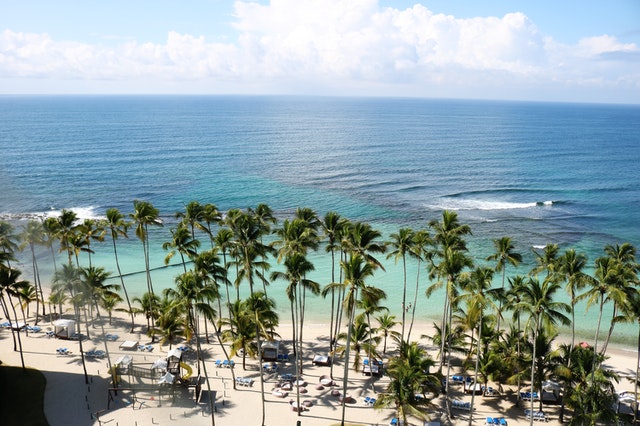Alt-tag: A beach with palm trees in Jamaica