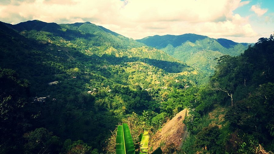 Blue Mountains
