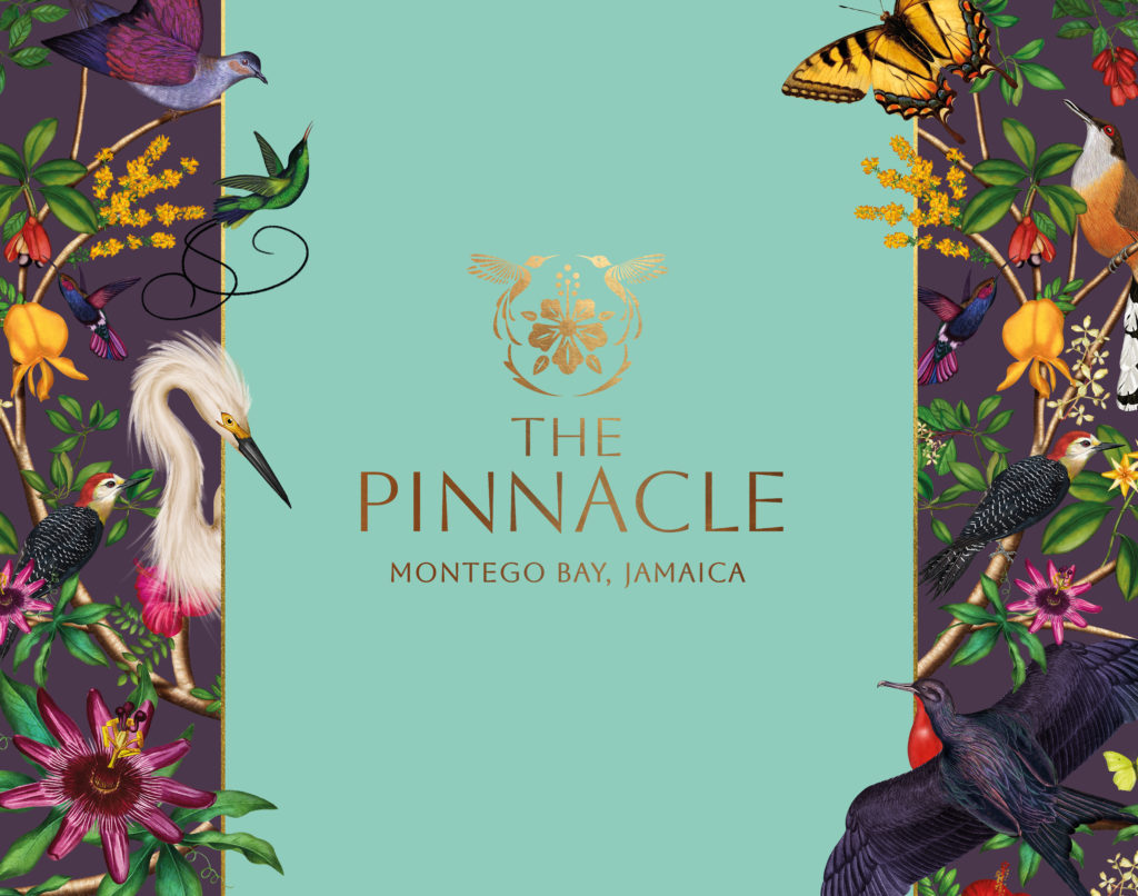 THE PINNACLE: A JAMAICAN ODYSSEY OF WINGS AND WONDER