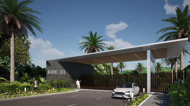 Emerald Roaring River Development: A New Chapter for Mammee Bay