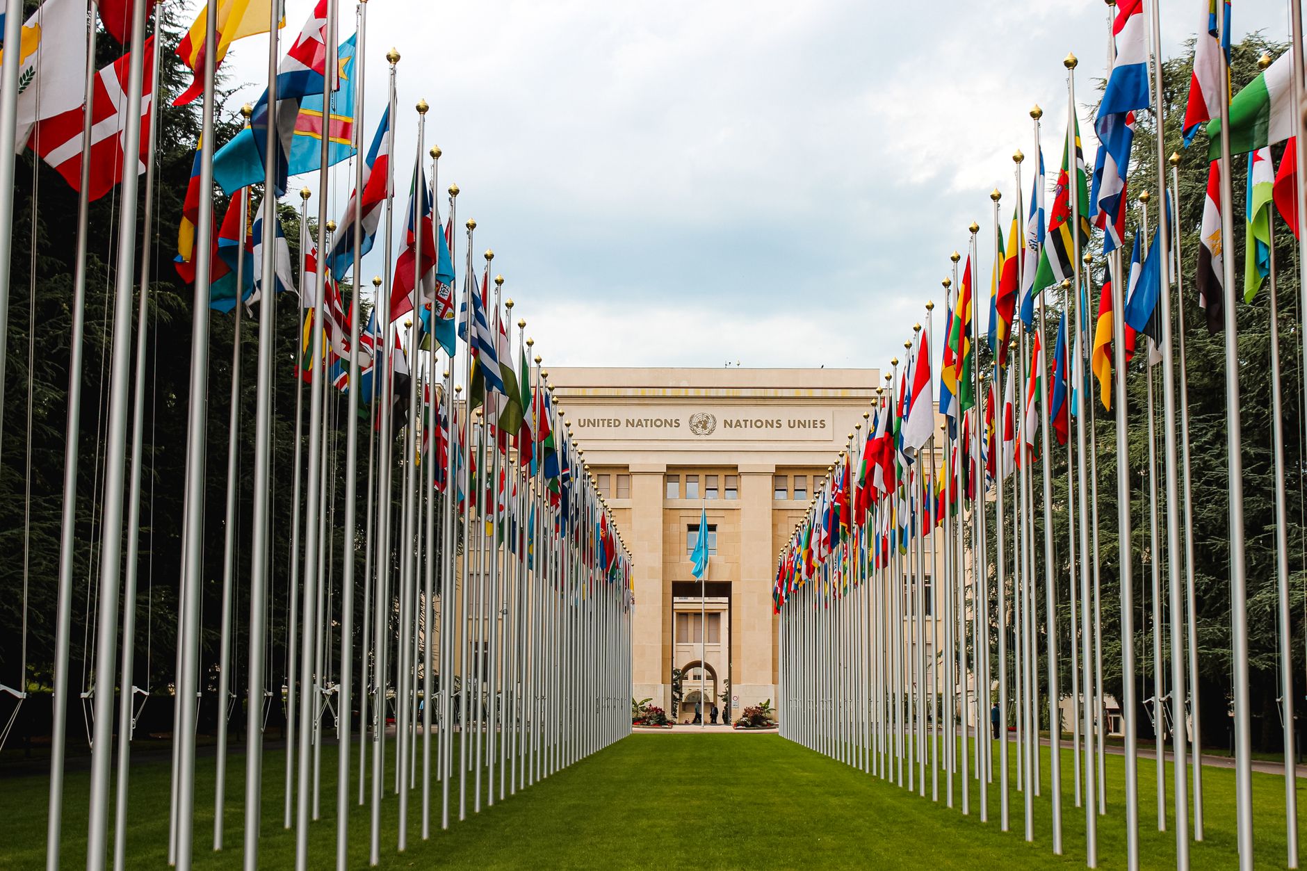 The UN