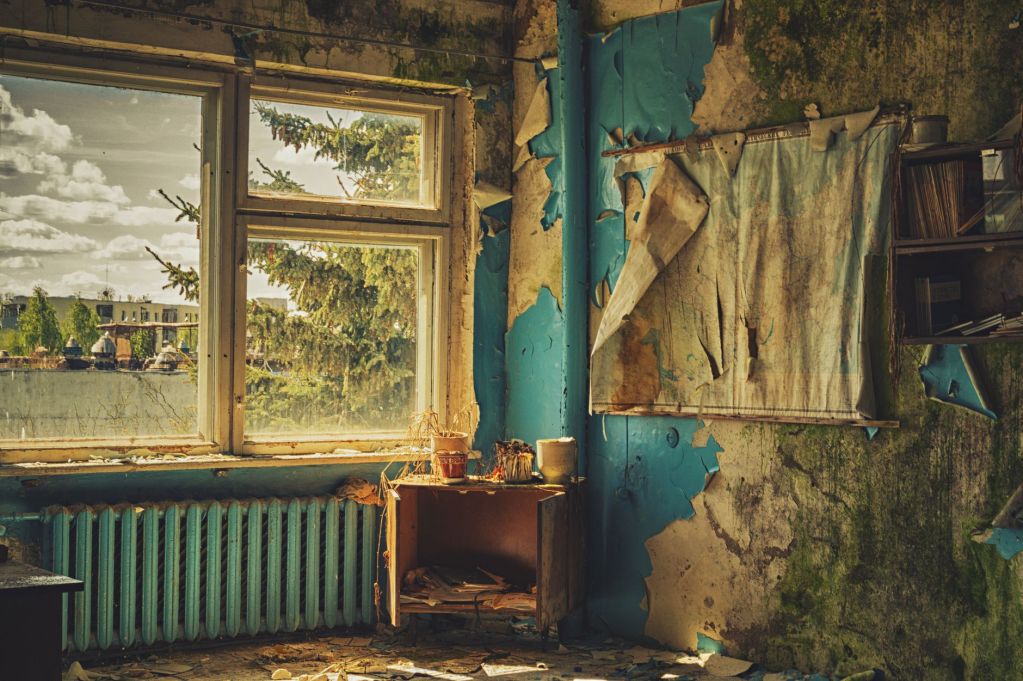 Would You Buy a Mouldy Home? How Affordability Pressure Is Warping Buyer Decisions