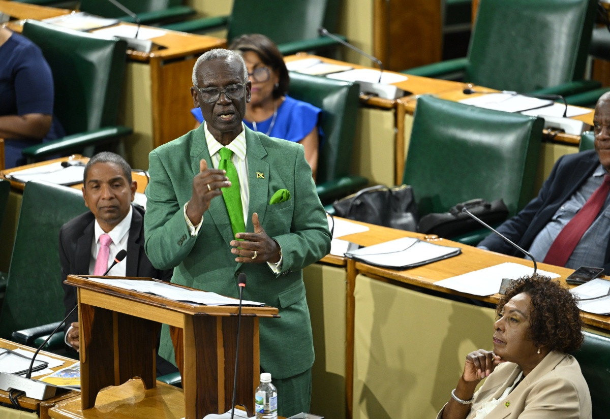 Local Government Minister Desmond McKenzie speaking in the House of Representatives during the 2026/27 Sectoral Debate on 3 June 2026