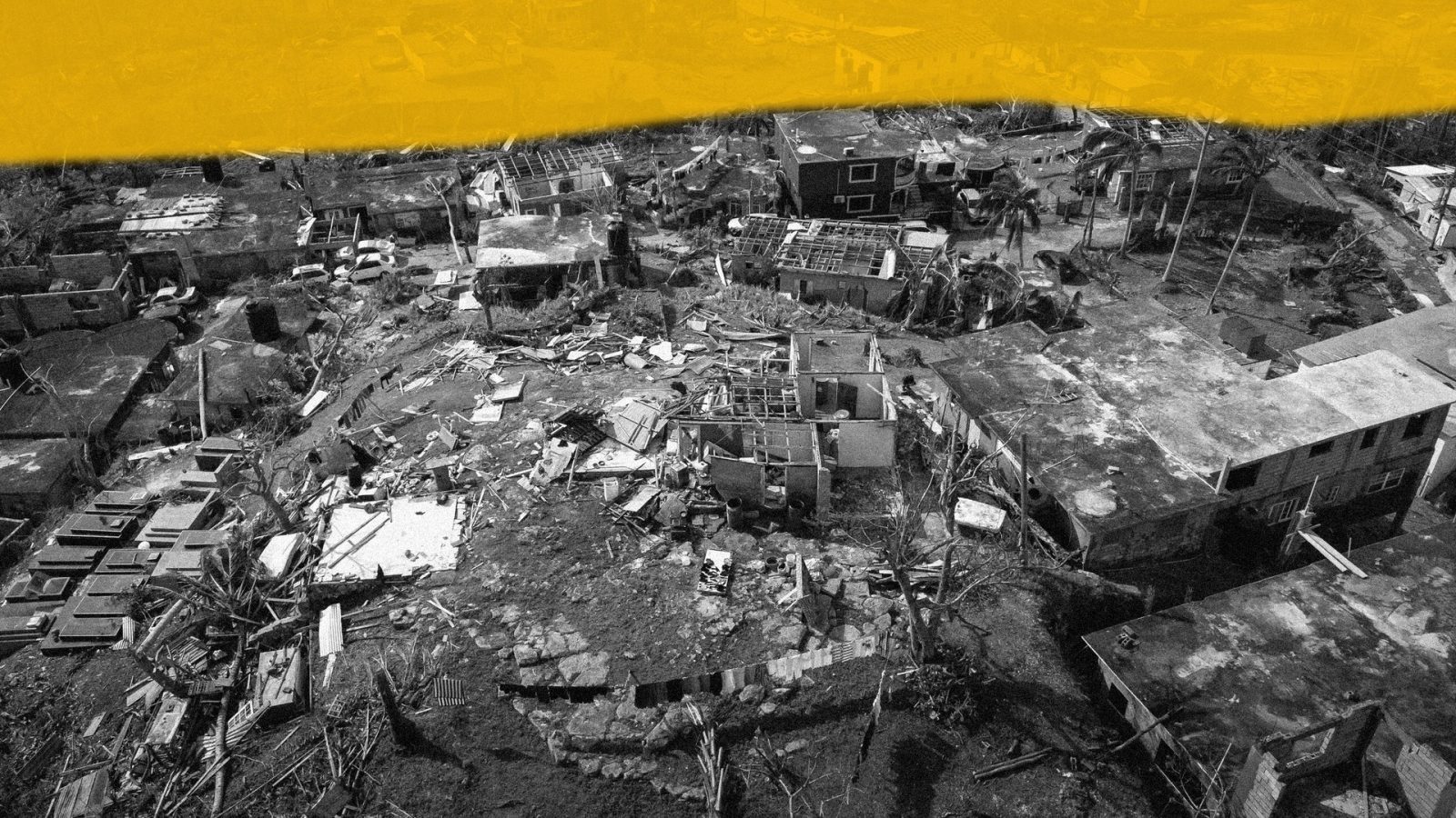 Aerial view of a neighbourhood after a hurricane, with roofless houses, scattered debris and stripped trees, shown in greyscale beneath a band of mustard yellow