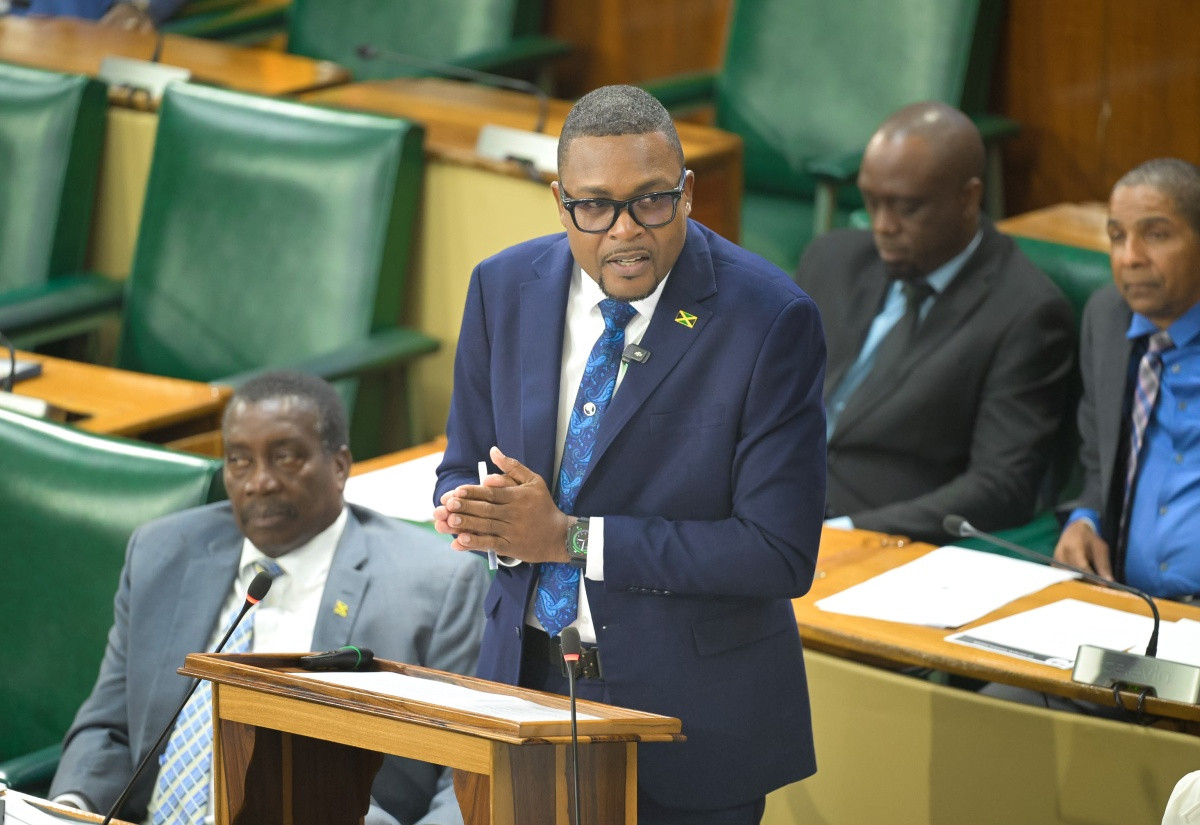 Works Minister Robert Morgan making his 2026/27 Sectoral Debate presentation in the House of Representatives on 17 June 2026