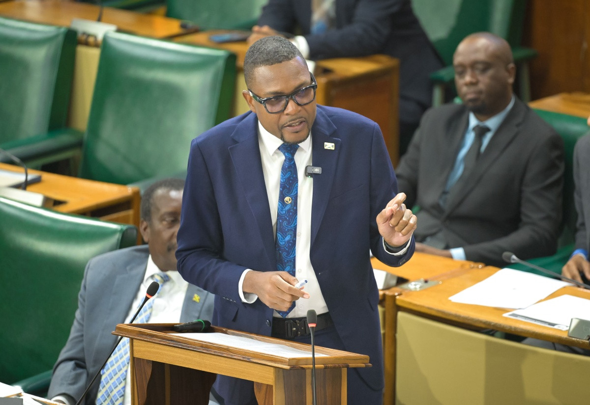 Works minister Robert Morgan addressing the House of Representatives during the 2026/27 Sectoral Debate on 17 June 2026