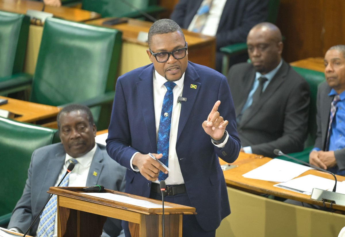 Works Minister Robert Nesta Morgan speaking in the House of Representatives during the 2026/27 Sectoral Debate on 17 June 2026