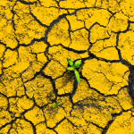 Drought Could Cost Jamaica Over J$35 Billion, Economist Warns