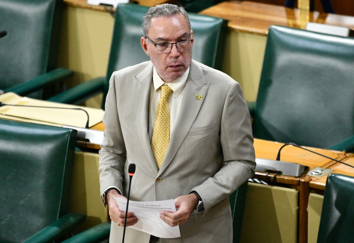 Image from the House of Representatives sitting at which the Energy Minister updated MPs on negotiations for a new electricity licence