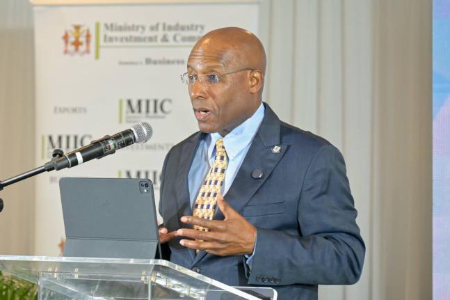 Industry Minister Aubyn Hill addresses the launch of Jamaica's MSME Restoration Grant Programme in New Kingston.