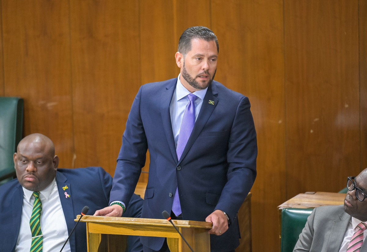 Senator addresses the Senate during the debate on the Mediation Bill in October 2026
