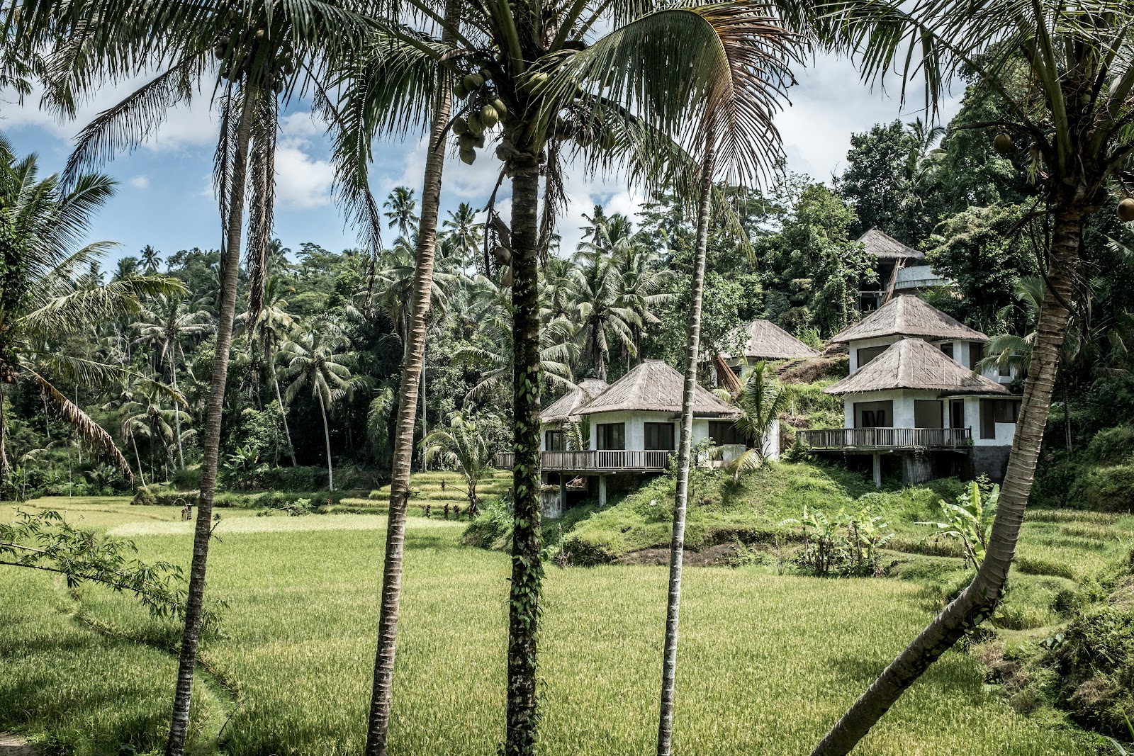 Maximizing Earnings: 10 Tips to Monetize Your Vacation Rental Properties