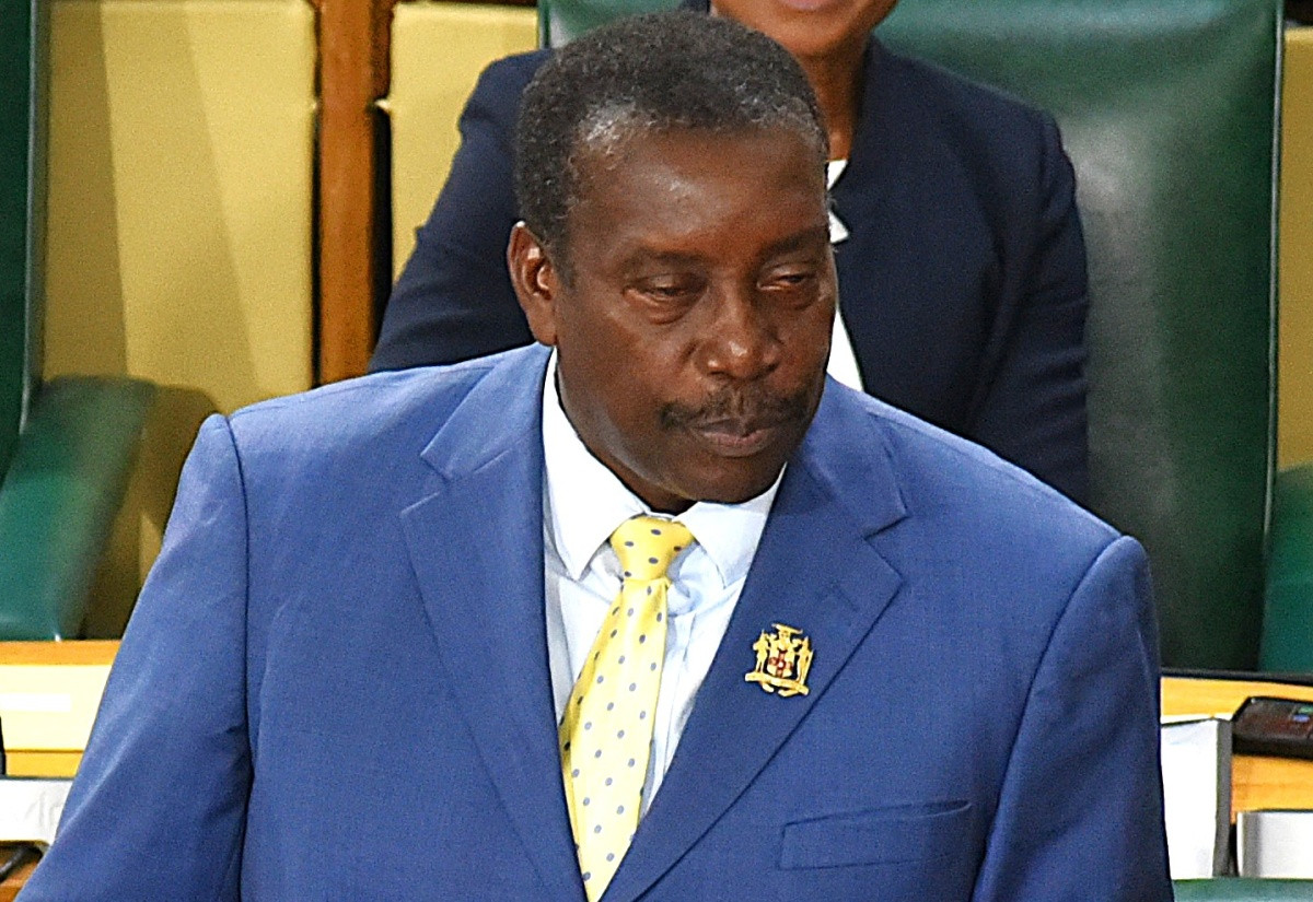 Minister Robert Montague speaking during the 2026/27 Sectoral Debate in the House of Representatives