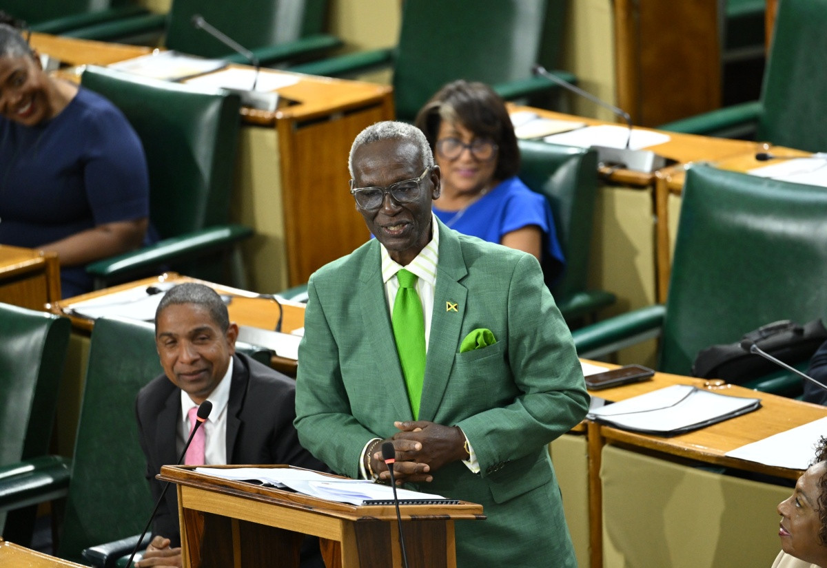 Local Government Minister Desmond McKenzie addressing the House of Representatives in the 2026/27 Sectoral Debate on 3 June 2026