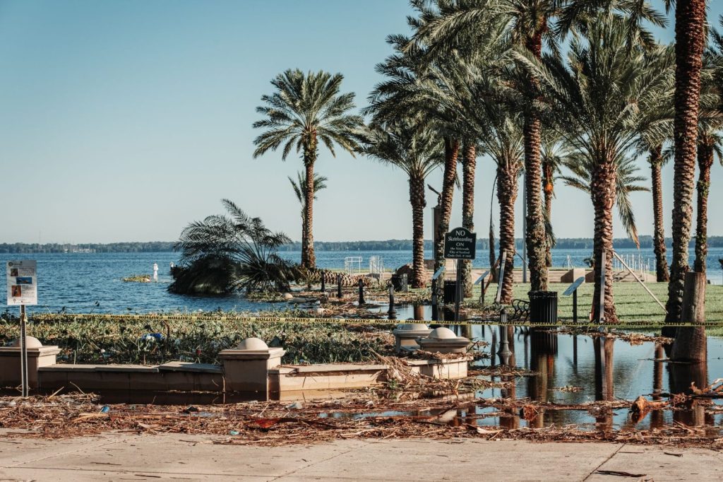 After Melissa, Jamaica Wants to Rebuild Fast. Who Holds the Brake? palm trees by the sea in sanford - Photo by Connor Scott McManus on