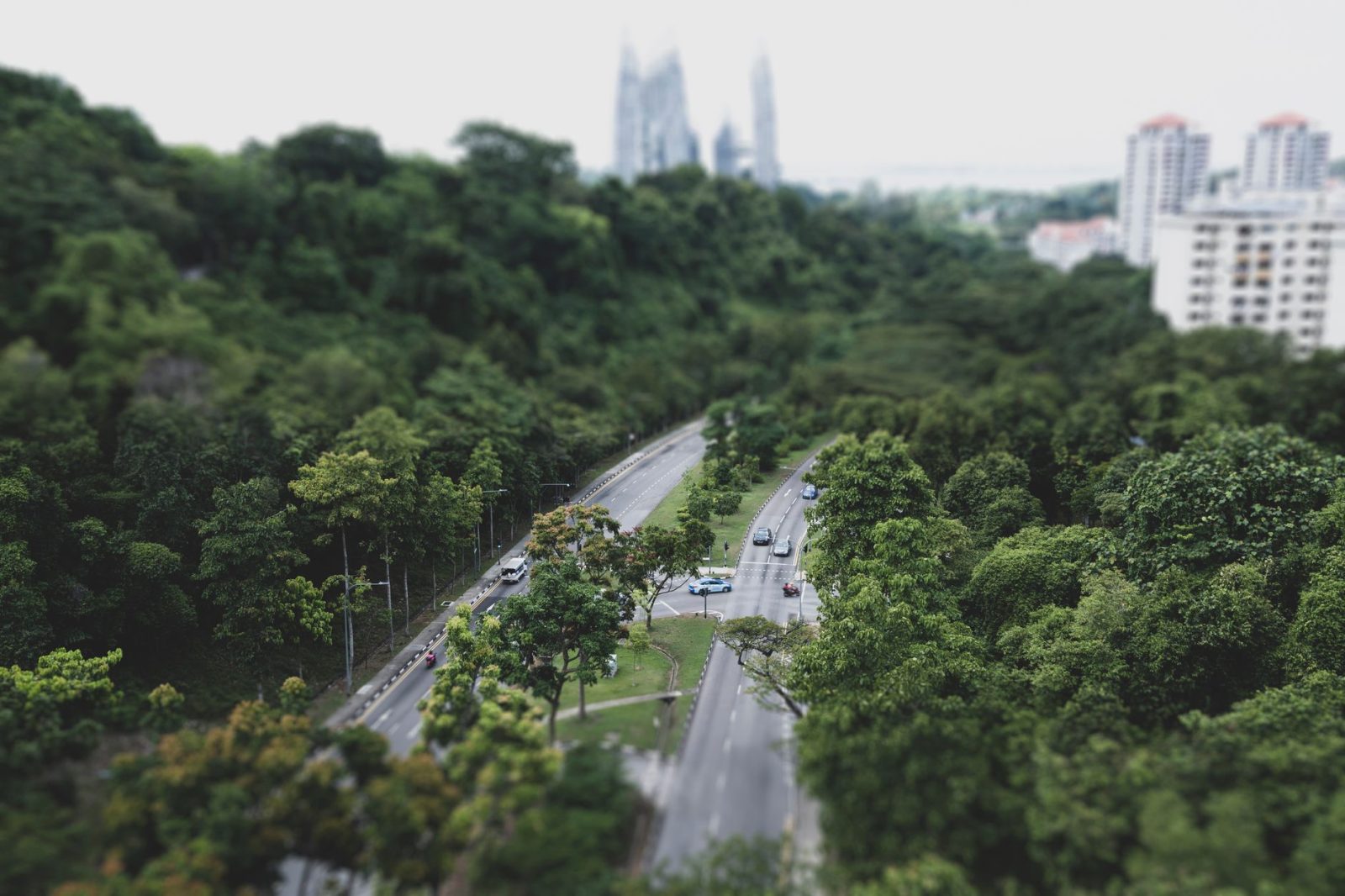 southern ridges route in singapore - Photo by Cyrill