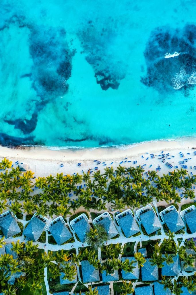 palm trees in tropical village - Photo by Soner Özcan