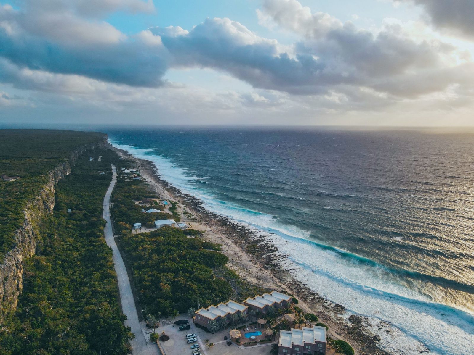 cliff and forest on sea shore - Photo by Aneal Bharath