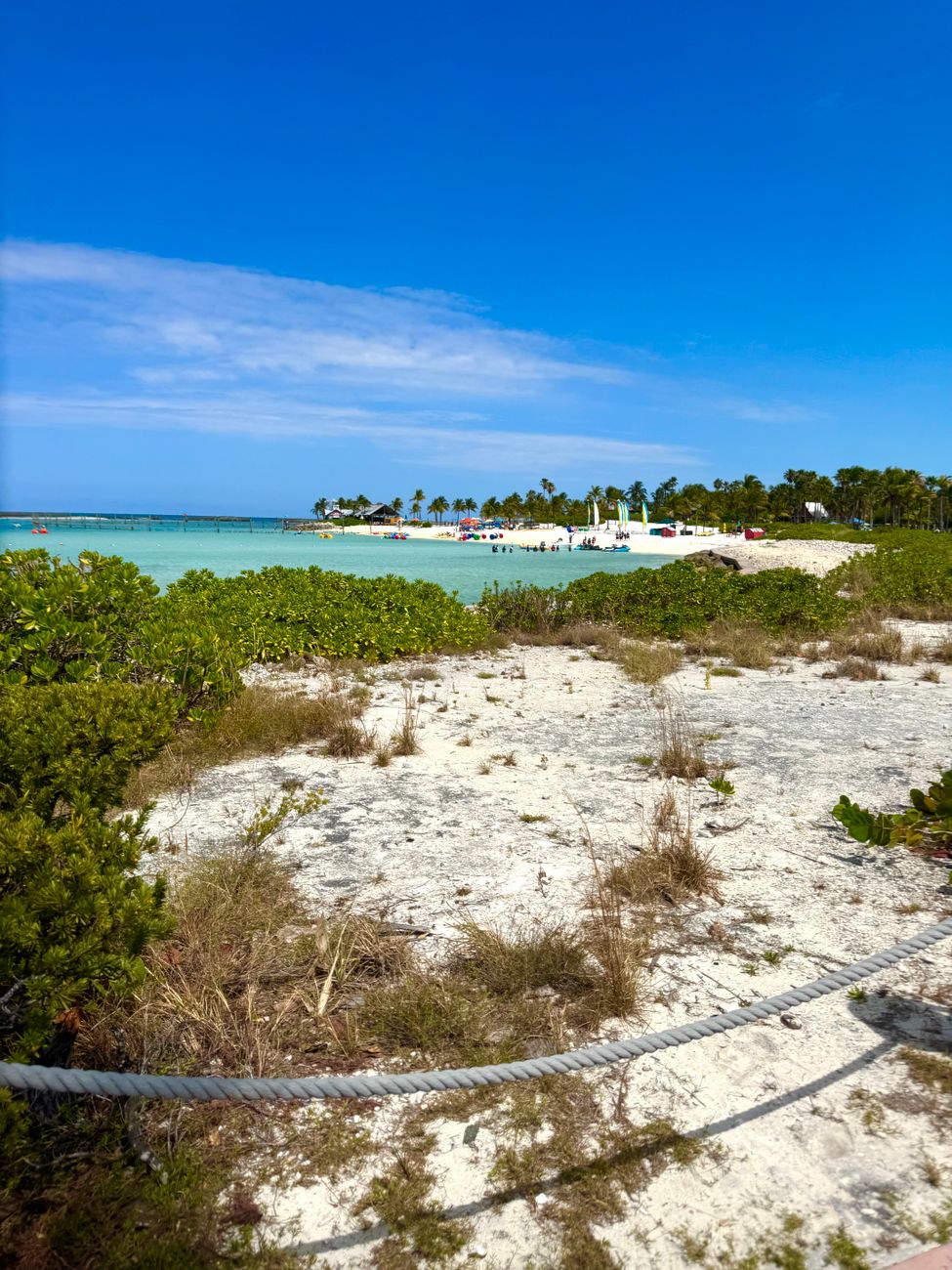 scenic caribbean beachfront in the bahamas