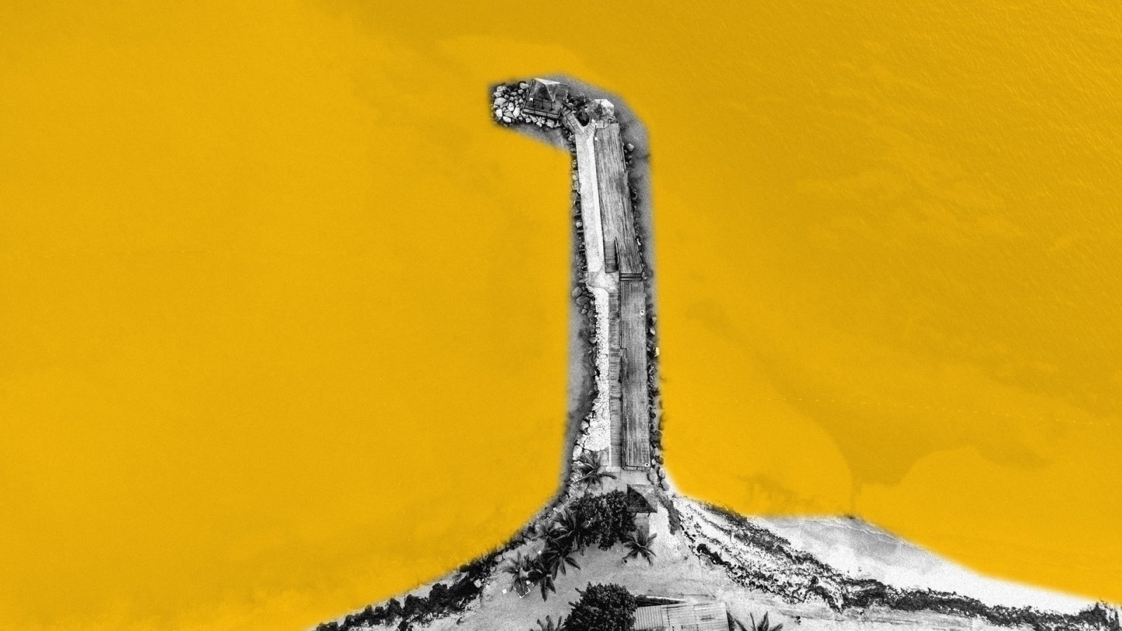 Aerial view of a stone and timber pier running out from a palm lined beach into the sea, shown in greyscale against a mustard yellow background